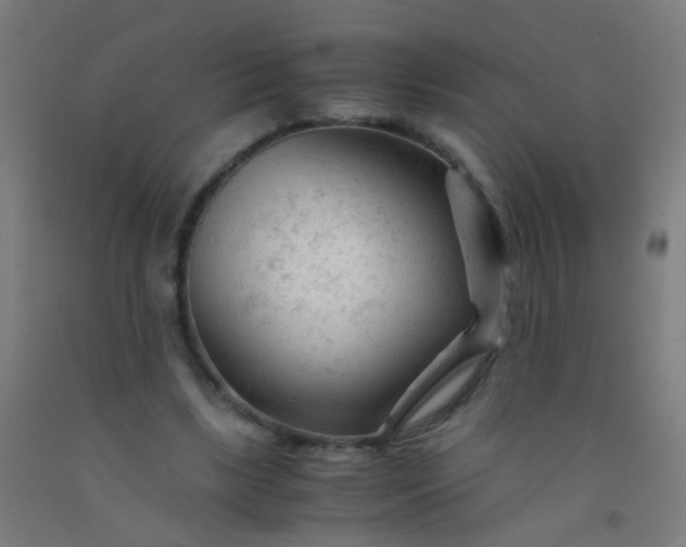 X0000092310443200709281349