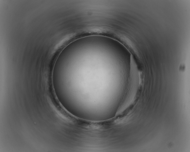 X0000092310444200709281349