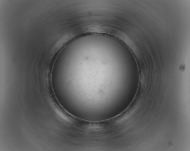 X0000092310445200709281349