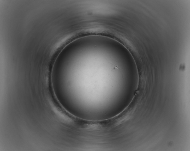 X0000092310446200709281349