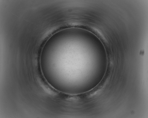 X0000092310447200709281349