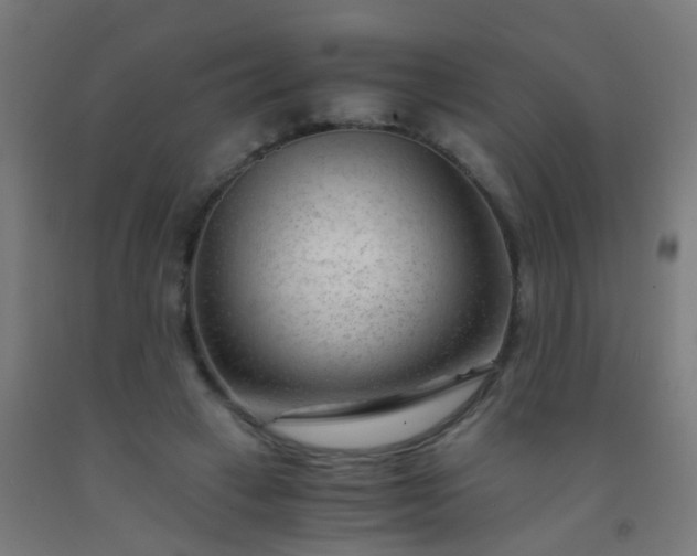 X0000092310449200709281349