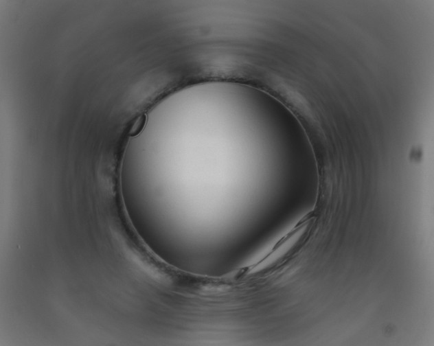 X0000092310450200709281349