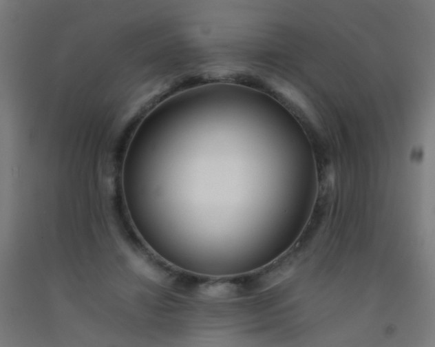X0000092310452200709281349