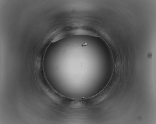 X0000092310454200709281349