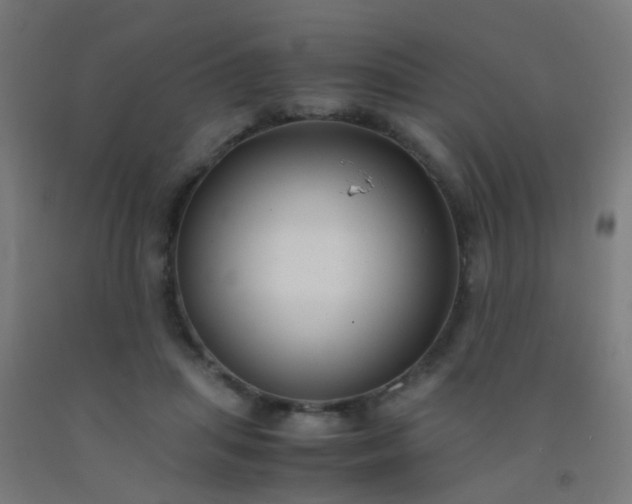 X0000092310455200709281349