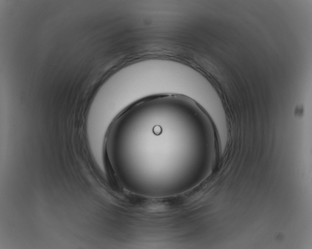 X0000092310456200709281349