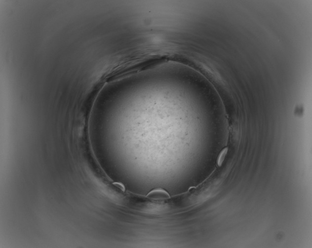 X0000092310458200709281349