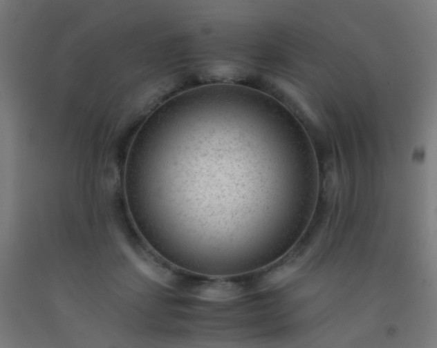X0000092310459200709281349