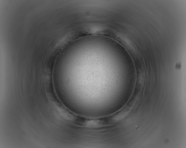 X0000092310461200709281349