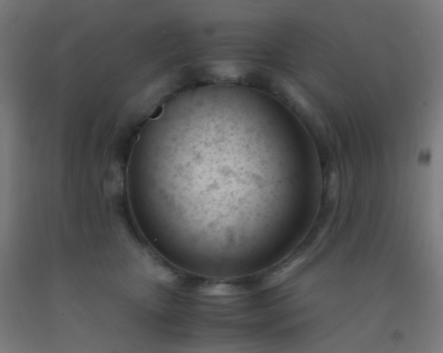 X0000092310467200709281349