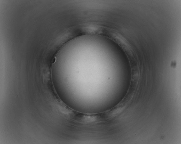 X0000092310469200709281350