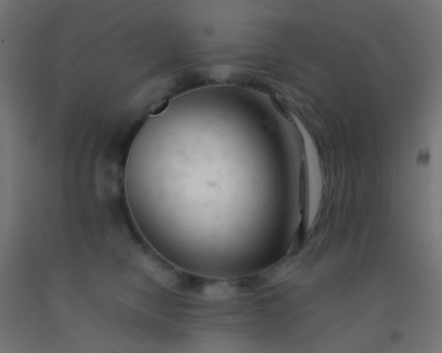 X0000092310470200709281350