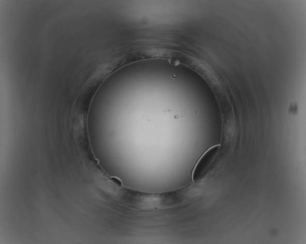 X0000092310473200709281350