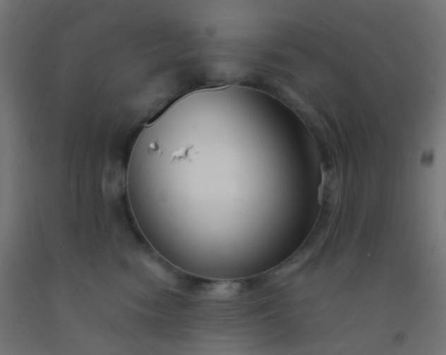X0000092310474200709281350