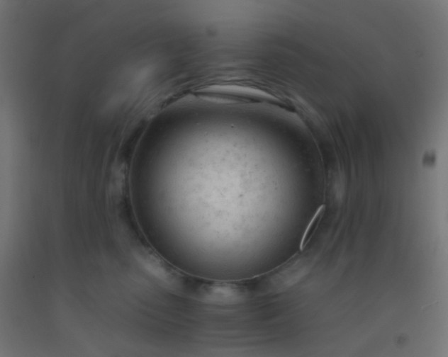 X0000092310475200709281350