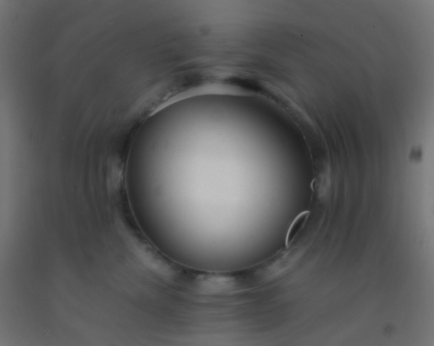 X0000092310476200709281350