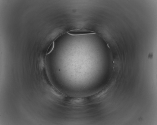 X0000092310479200709281350