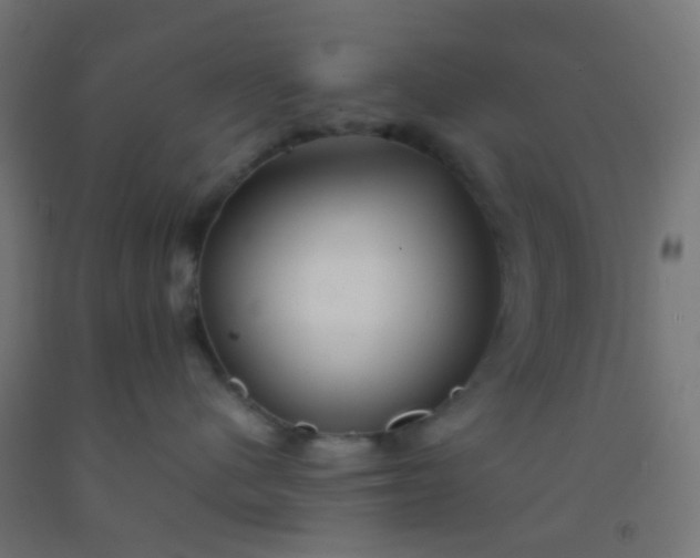 X0000092310480200709281350