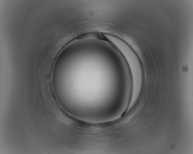 X0000092310481200709281349