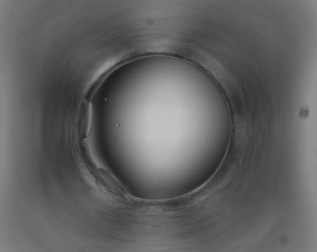 X0000092310482200709281349