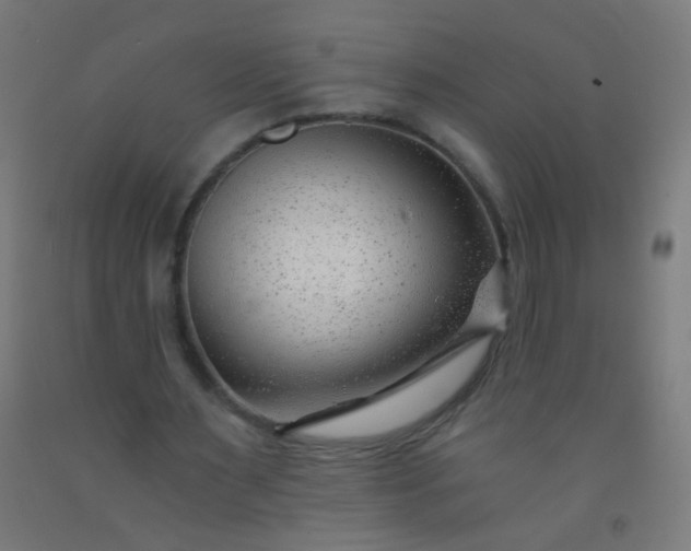 X0000092310483200709281349