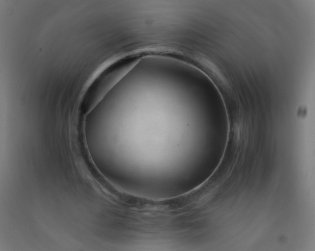 X0000092310484200709281349