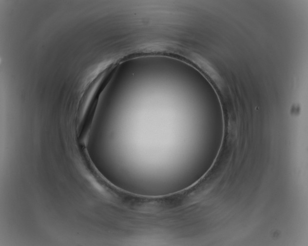 X0000092310485200709281349