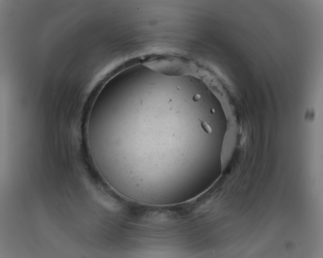 X0000092310488200709281349