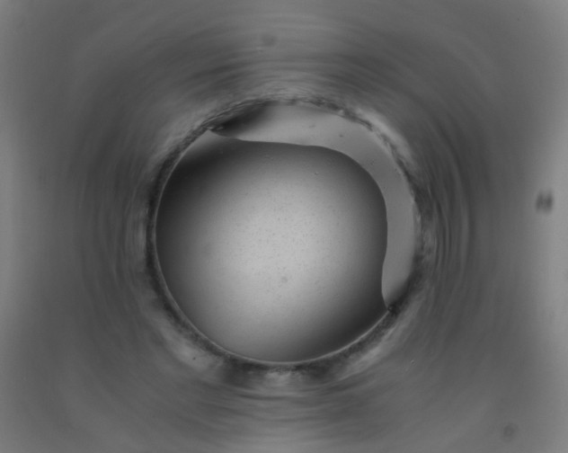 X0000092310493200709281349