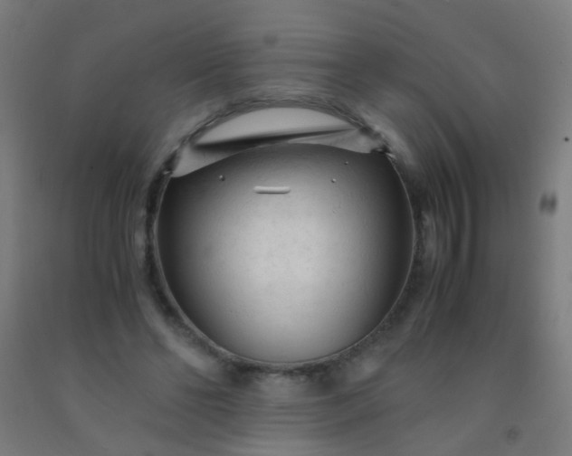 X0000092310494200709281349