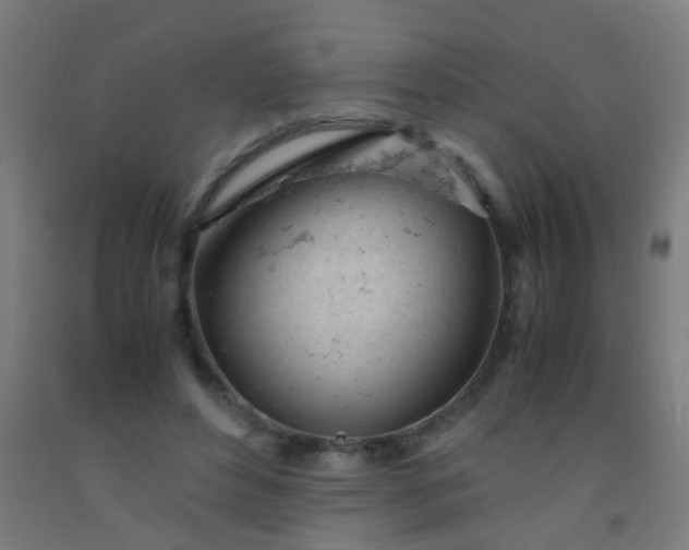 X0000092310496200709281349