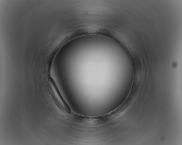 X0000092310497200709281349