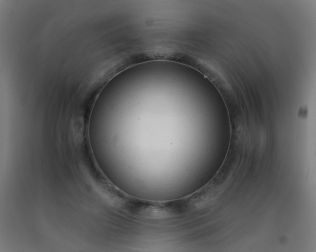 X0000092310498200709281349