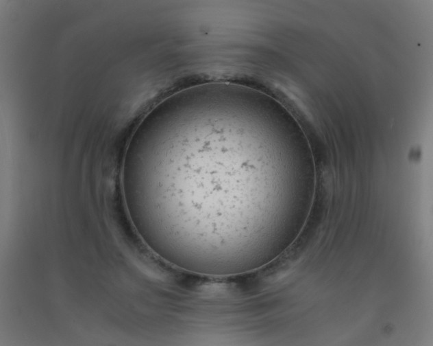 X0000092310499200709281349