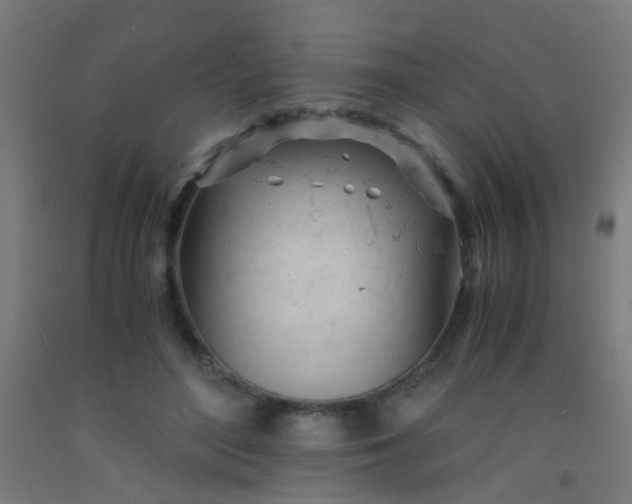 X0000092310500200709281349