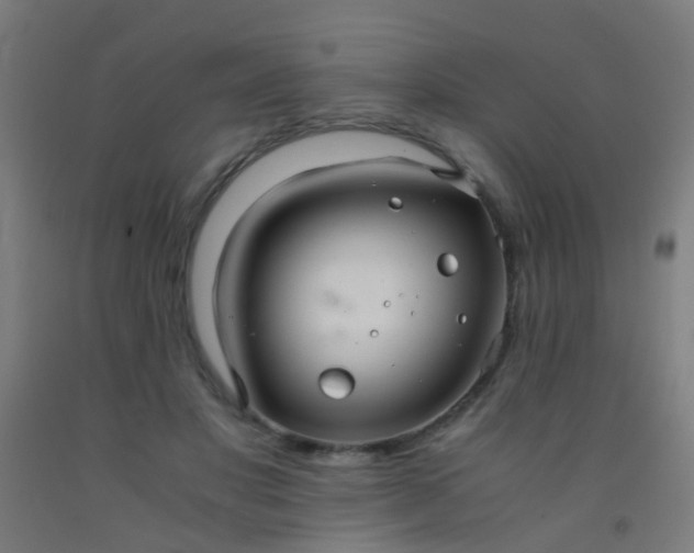 X0000092310501200709281349