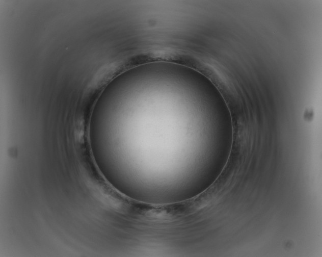 X0000092310502200709281349