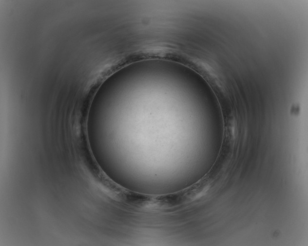 X0000092310504200709281349