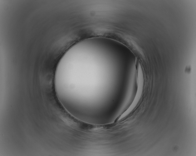 X0000092310505200709281349