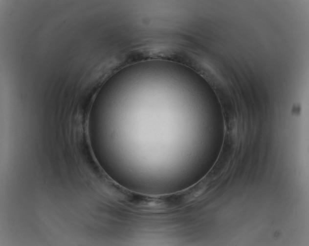 X0000092310506200709281349
