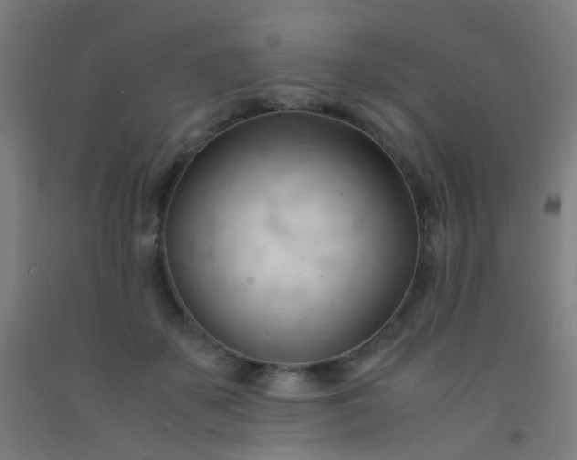 X0000092310507200709281349