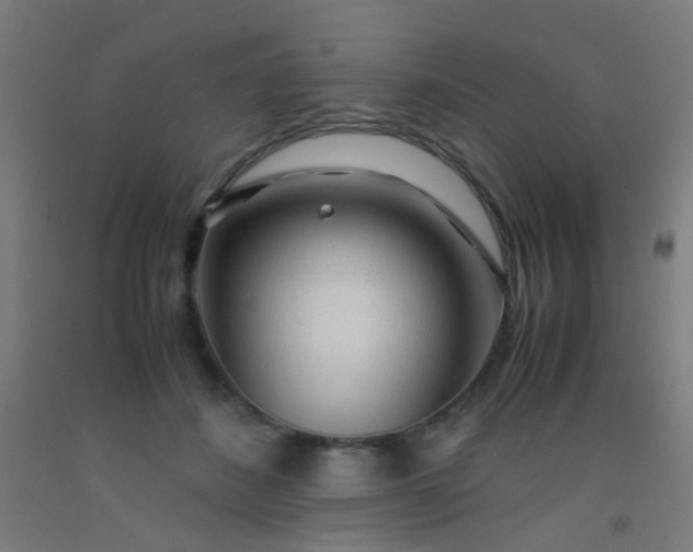 X0000092310508200709281349