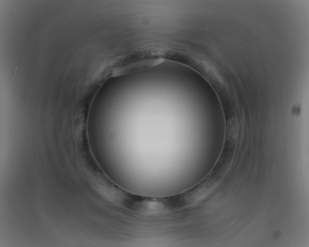 X0000092310509200709281349