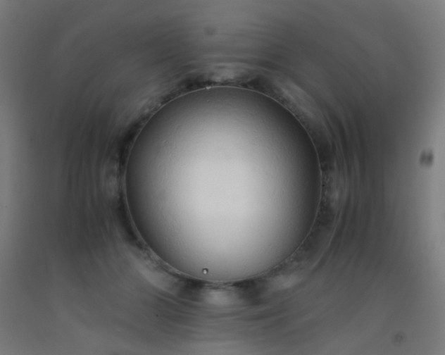 X0000092310510200709281349