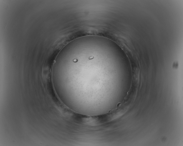 X0000092310511200709281349