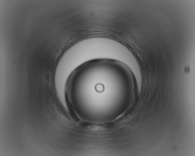X0000092310512200709281349