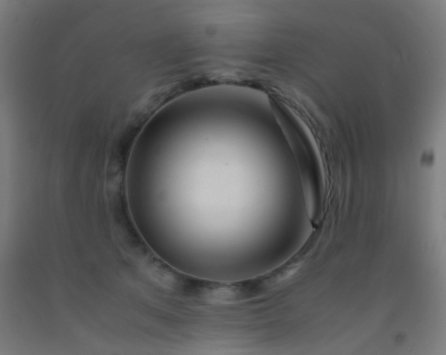 X0000092310513200709281349