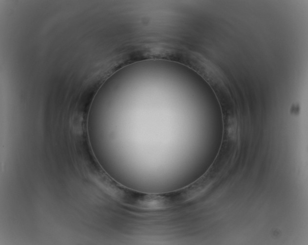X0000092310514200709281349