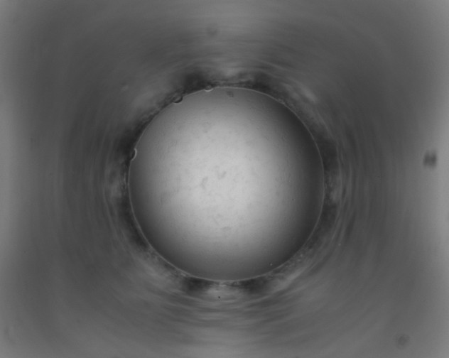 X0000092310515200709281349